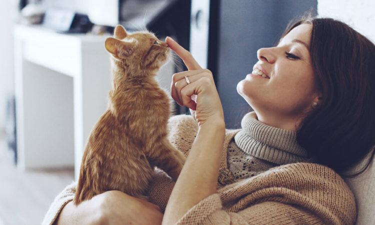 Smiling woman touching the nose of a kitten with her finger