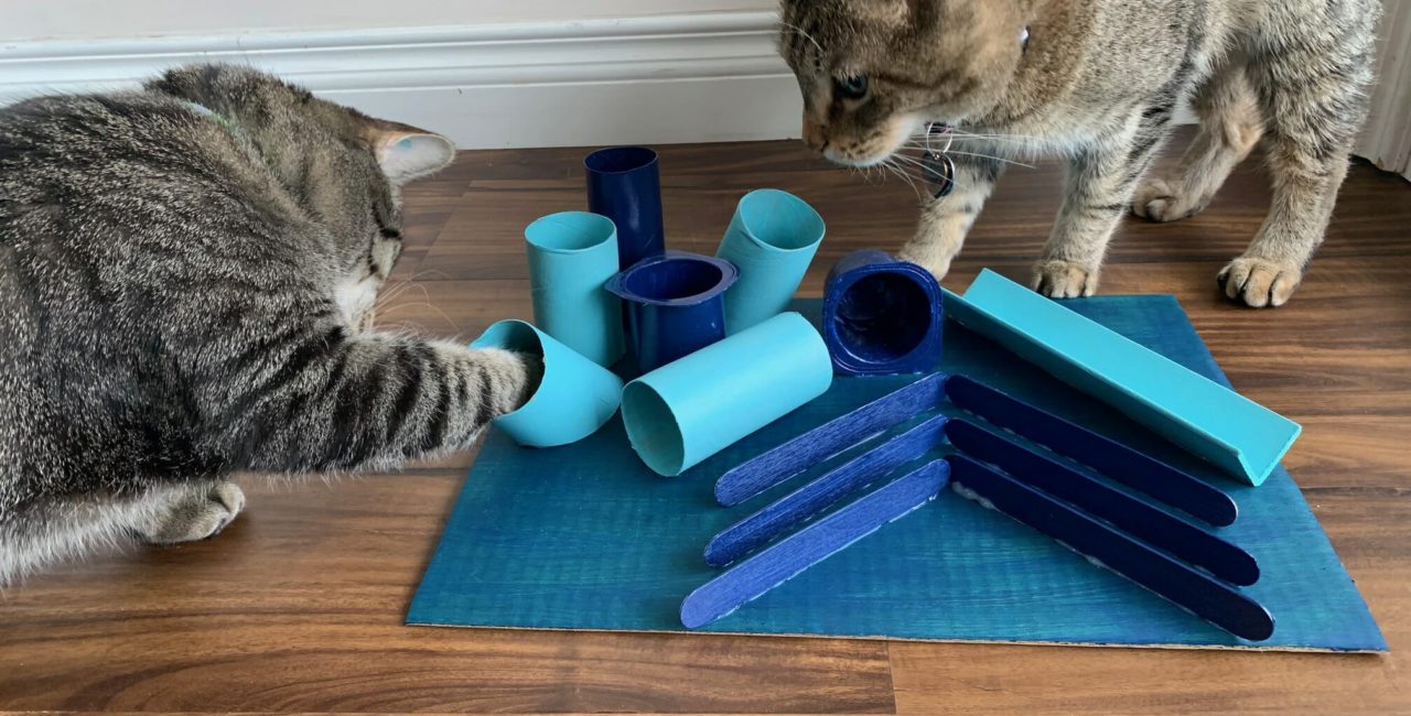 Cats playing with an activity board