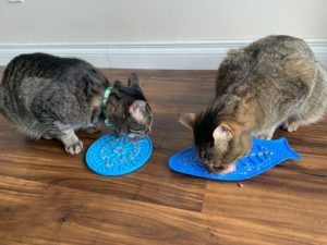 Cats licking lick mats